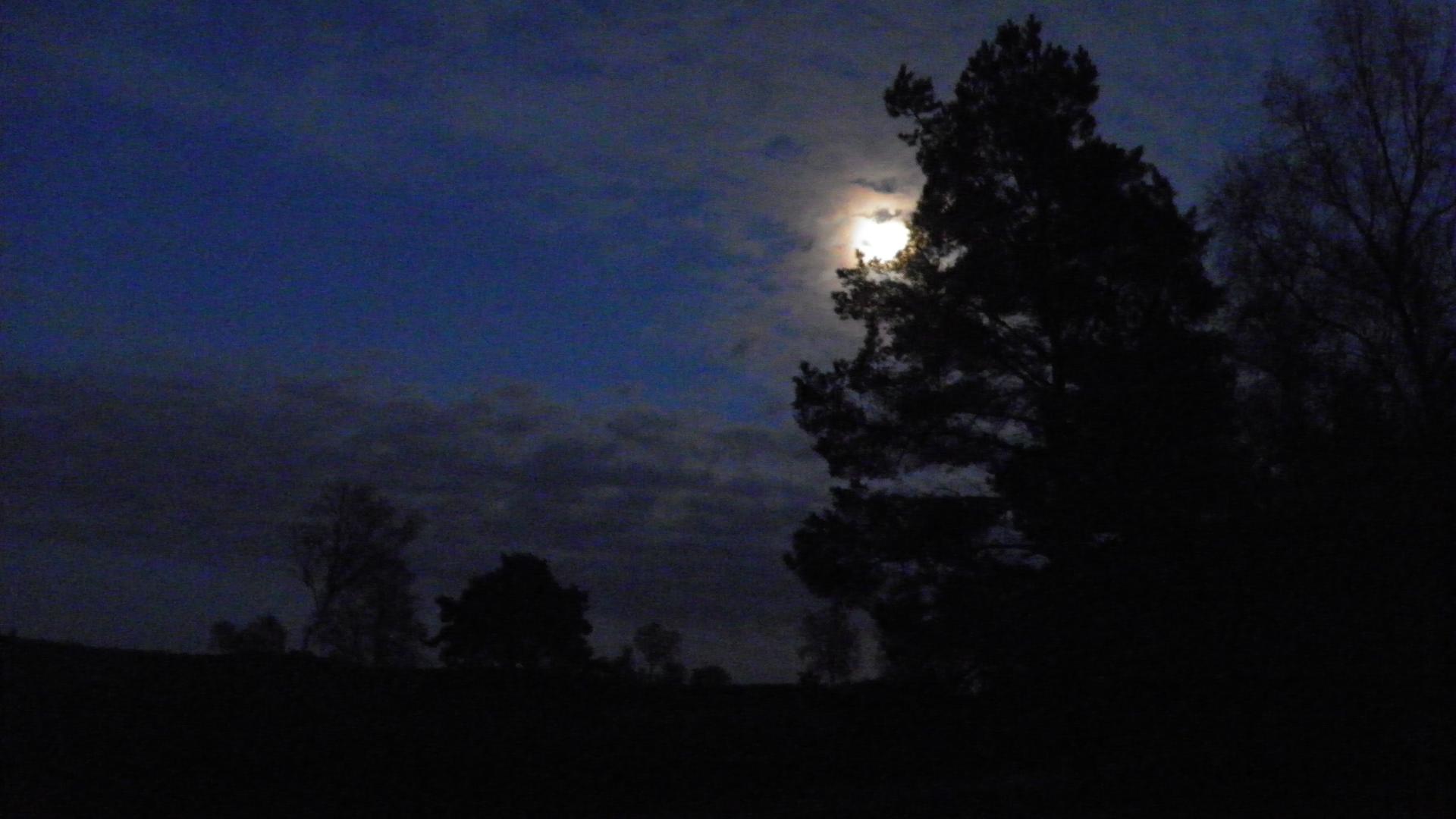 A2014_1102_185304AA.JPG